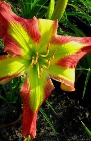  Senator Edward M.Kennedy  