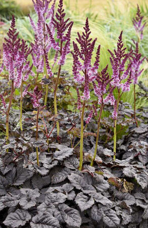       (DARK SIDE OF THE MOON)