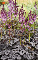       (DARK SIDE OF THE MOON)